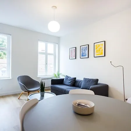 Danel Appart - Vieux Apartament *